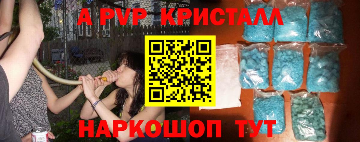 A PVP СК КРИС Нальчик
