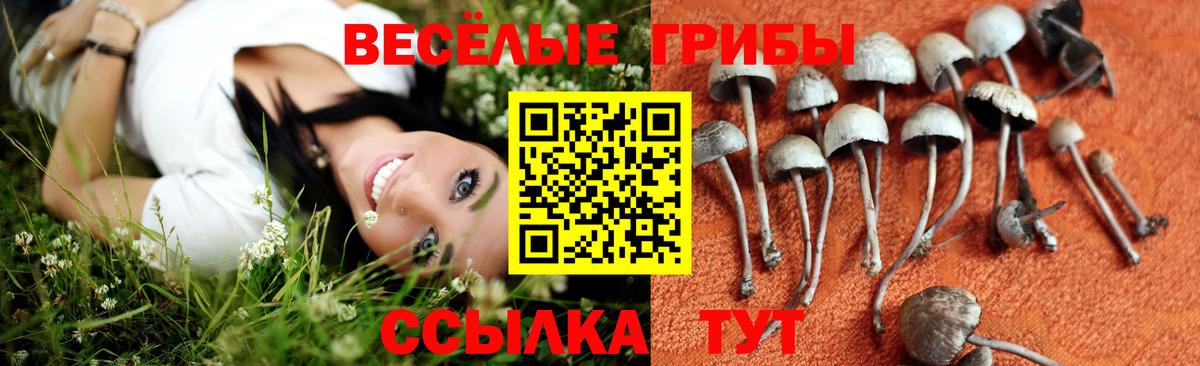 Псилоцибиновые грибы ЛСД  Вход с VPN  Нальчик 